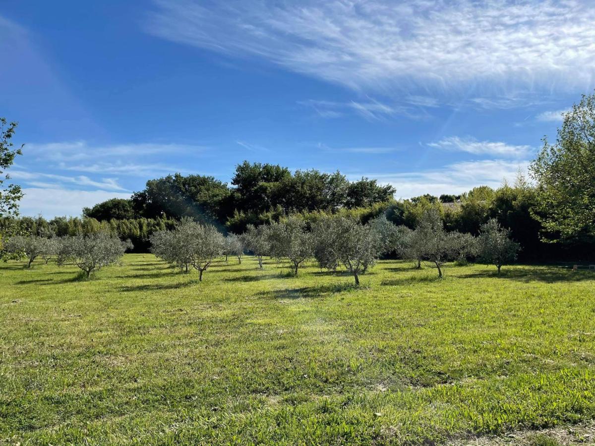 Appartement De Charme Sud Luberon Classe 4 Etoiles Puyvert 外观 照片